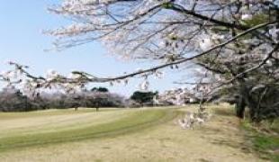 武蔵丘ゴルフコース