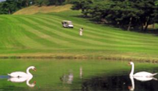 東城陽ゴルフ倶楽部