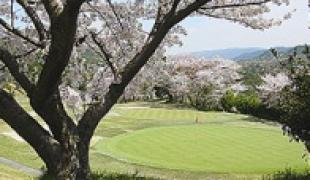 さくら | 関空クラシックゴルフ倶楽部/旧砂川国際ゴルフクラブ