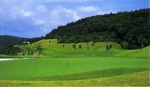 IN No.1 | アイランドゴルフガーデン赤穂（旧:青木功ゴルフクラブ）