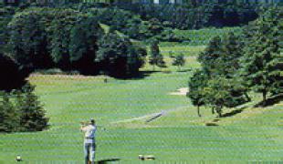 ディアレイク・カントリー倶楽部（旧下野CC）