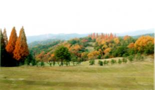 東濃カントリー倶楽部