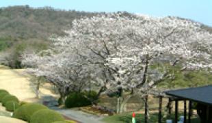 西日本セブンスリーゴルフクラブ