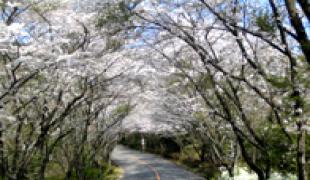 西日本セブンスリーゴルフクラブ