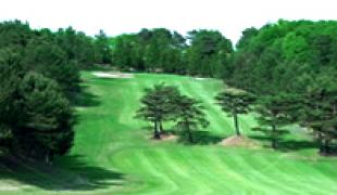 真庭カンツリークラブ