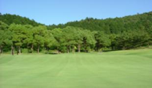 NO8 | サンピアゴルフクラブ