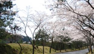 皐月ゴルフ倶楽部 竜王コース