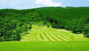 NO.8 | 三島ゴルフ倶楽部