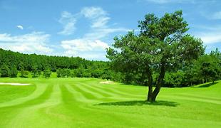 NO.10 | 三島ゴルフ倶楽部