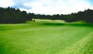 宮崎座論梅ゴルフクラブ