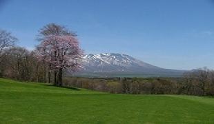 から松№17 | 雫石ゴルフ場