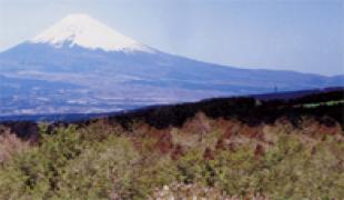 グランフィールズカントリークラブ