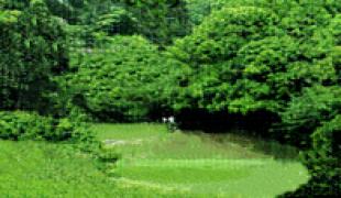 湯河原カンツリー倶楽部 真鶴コース