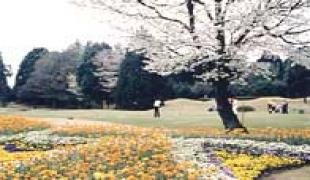 総武カントリークラブ 印旛コース