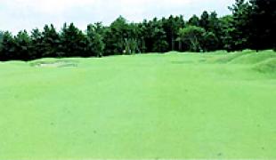 総武カントリークラブ 印旛コース