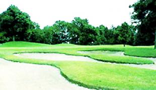 総武カントリークラブ 印旛コース