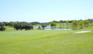 西コース8番から | 一の宮カントリー倶楽部