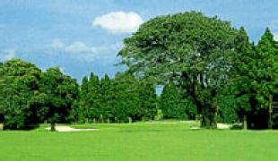 南総カントリークラブ