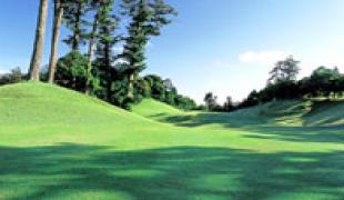 本格的な丘陵コース | 千葉桜の里ゴルフクラブ