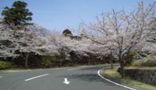 香取カントリークラブ