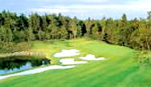 ザ・ゴルフクラブ竜ヶ崎