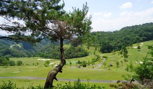 ニューアドニスゴルフクラブ（旧アドニスゴルフクラブ）