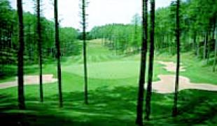 アーレックスゴルフ倶楽部（閉鎖）