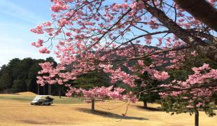 京都大原パブリックコース